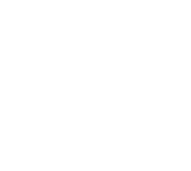 View Pioneer logo